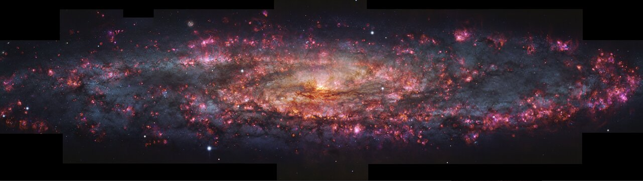 This image shows a detailed, thousand-colour image of the Sculptor Galaxy captured with the MUSE instrument at ESO’s Very Large Telescope (VLT). Regions of pink light are spread throughout this whole galactic snapshot, which come from ionised hydrogen in star-forming regions. These areas have been overlaid on a map of already formed stars in Sculptor to create the mix of pinks and blues seen here - Credit: ESO/E. Congiu et al.