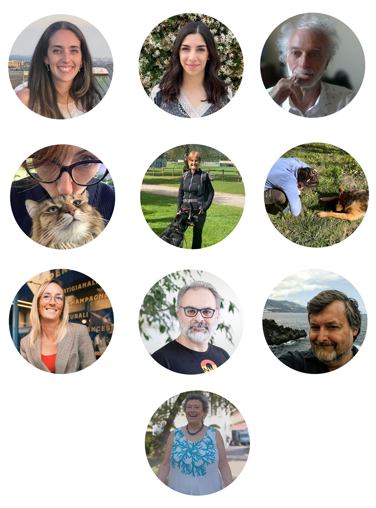 Immagine con tutte le foto